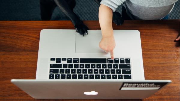 Work from Home desk with cat's paw and child's hand