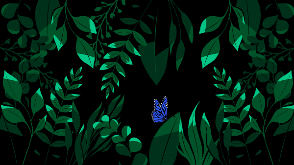 blue butterfly in nature illustration